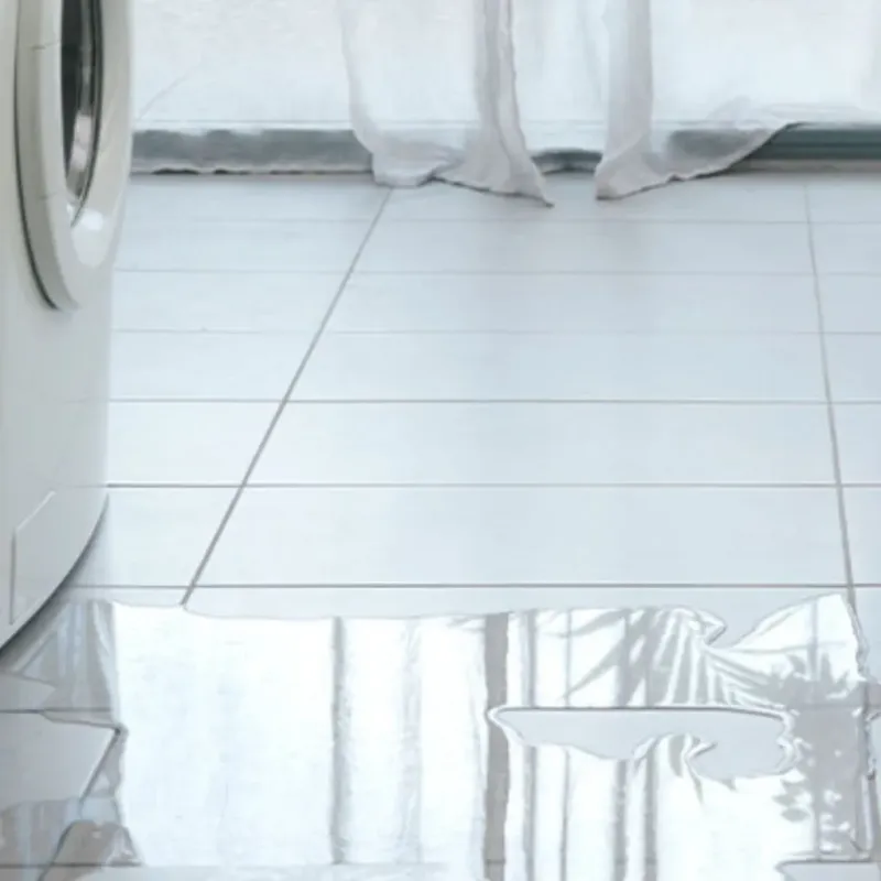 Appliance Leak Cleanup in Auburn, KS