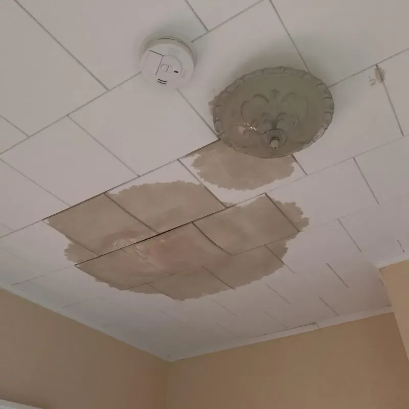 Ceiling Water Damage Repair in Auburn, KS