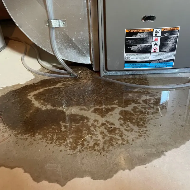 Pipe Burst and Leak Restoration in Auburn, KS