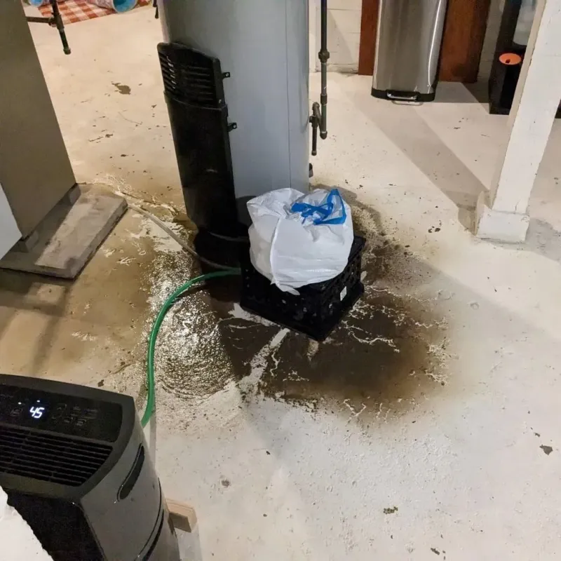 Sewage Backup Cleanup Service in Auburn, KS